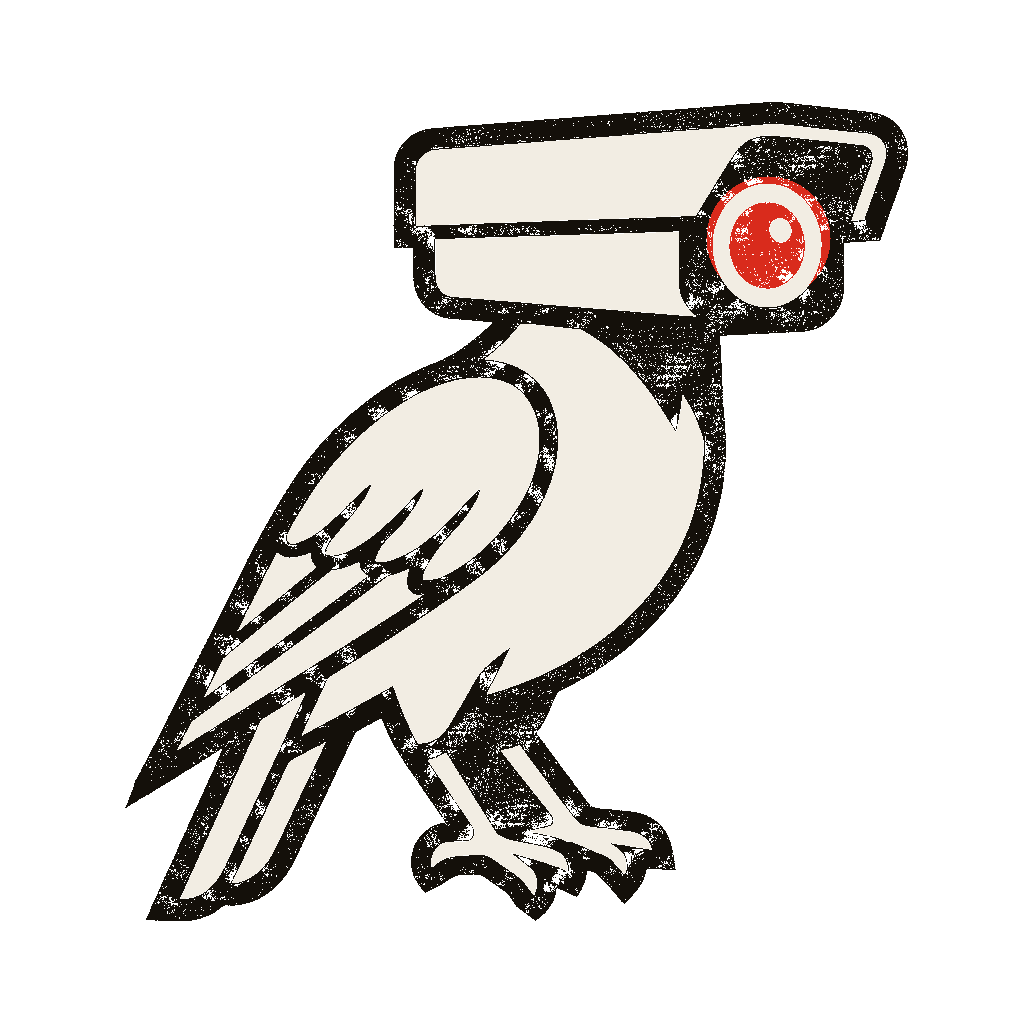 DeFlock Icon